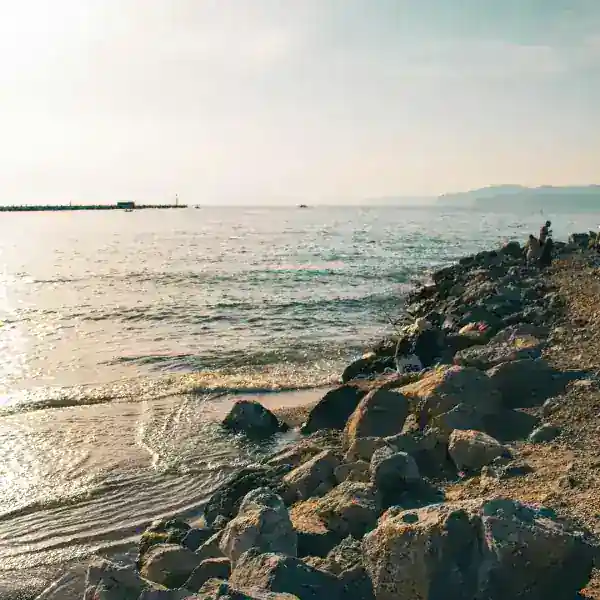 Aydın - İzmir VIP Transfer