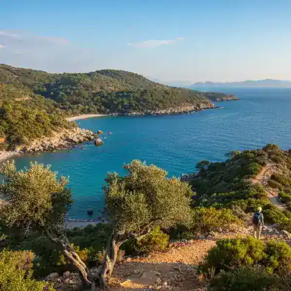 Güzelçamlı - İzmir VIP Transfer