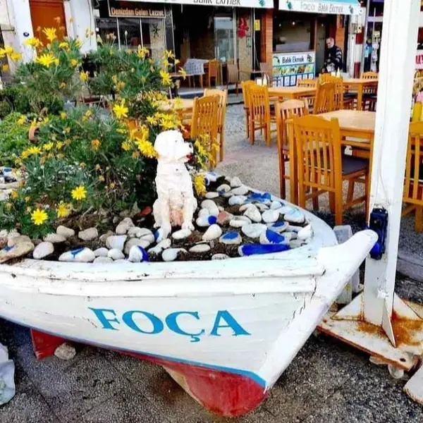 Foça - İzmir VIP Transfer