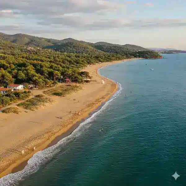 Pamucak - İzmir VIP Transfer